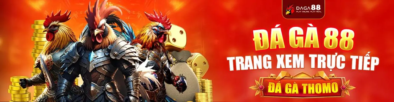 Đá Gà Trực Tuyến 22vip chính thức